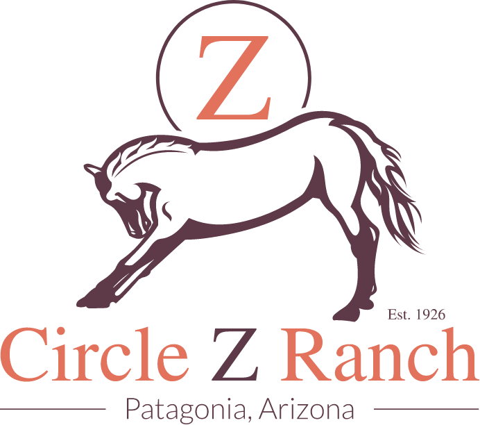 circle z logo
